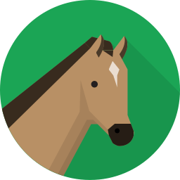 Equine Services In Gillette Wy Animal Medical Center Of Wyoming