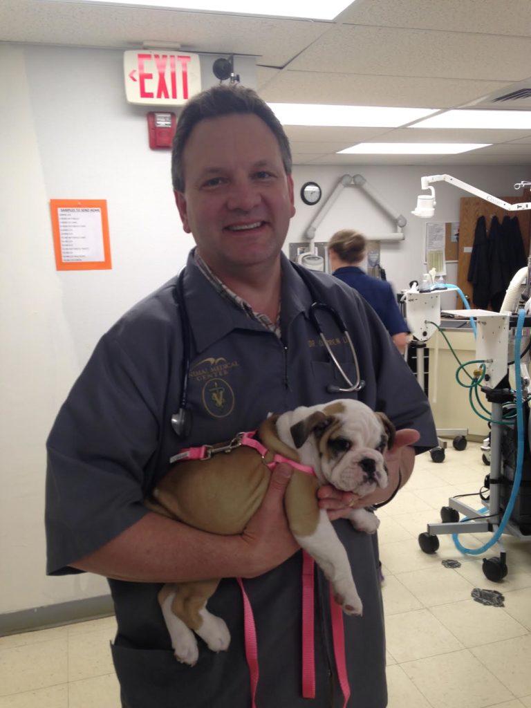 Veterinary Services in Gillette, WY Animal Medical Center of Wyoming