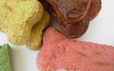 Understanding Pet Food by Our Pet Nutrition Specialist Tara Lynn