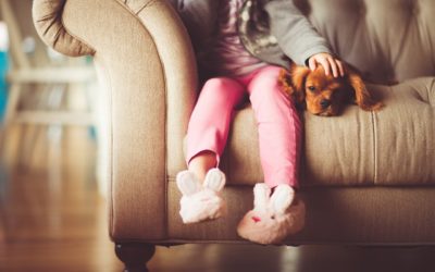 Microchips Bring Pets Home!
