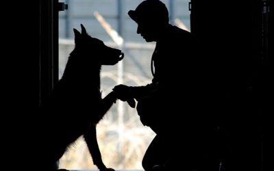 Operation K9 Military Care