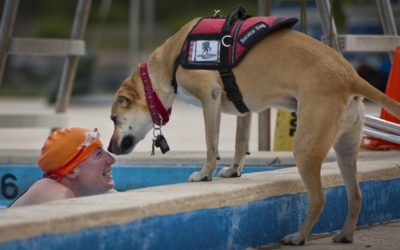 A Local Service Dog Hero