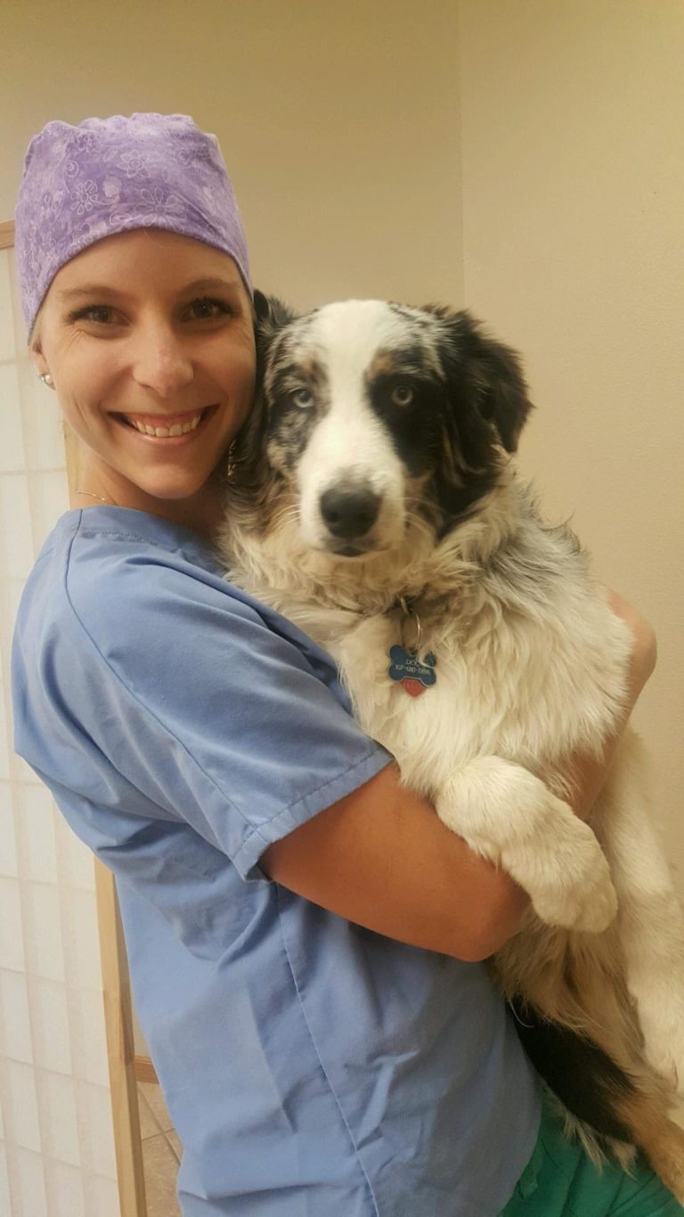 Animal Medical Center of Wyoming's Community Clinic Gillette, WY