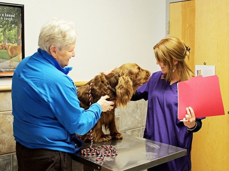 Your Gillette Veterinarian at Animal Medical Center of Wyoming