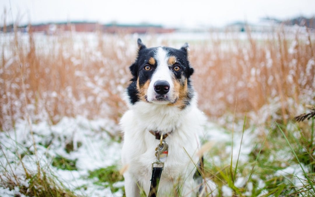 5 Tips for Stormy Spring Walks
