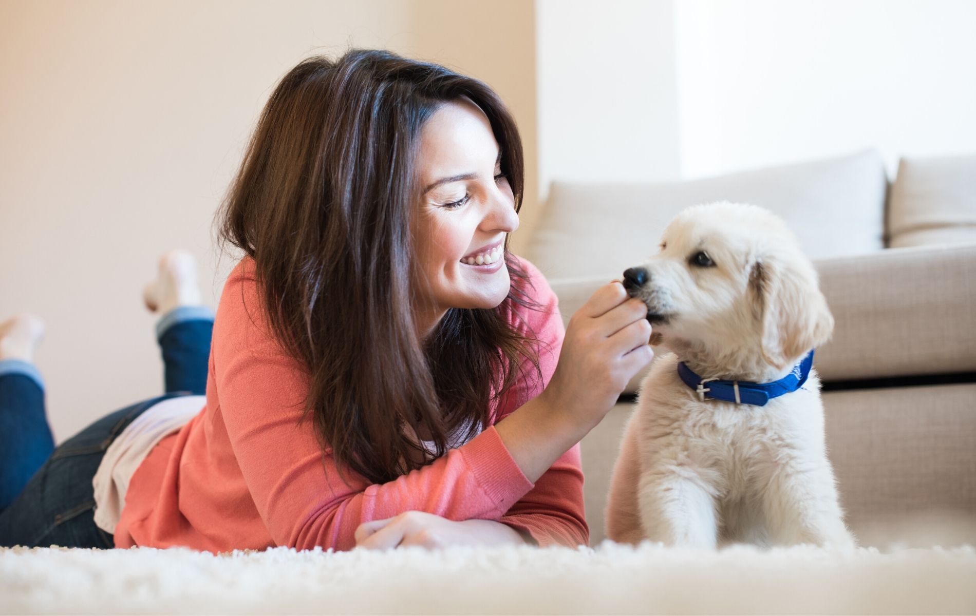 New adopted pet parents animal medical center of wyoming