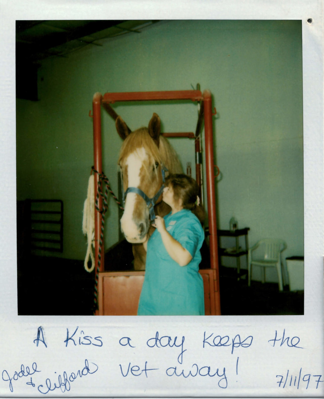 Your Gillette Veterinarian at Animal Medical Center of Wyoming