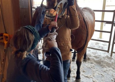 Animal Medical Center of Wyoming - Equine Services